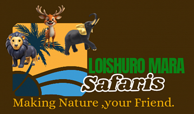 At Oloishuro Mara Safaris, we bring the magic of the Masai Mara closer to you. Based in Narok County, our passion is creating unforgettable journeys through Kenya’s most breathtaking landscapes. We specialize in professional tour guiding, thrilling safari camping, and comfortable accommodations, ensuring every traveler enjoys an authentic and seamless adventure. Whether you’re seeking the thrill of the Great Migration, the tranquility of a bush camp, or the warmth of Maasai culture, our team is dedicated to delivering personalized, memorable experiences. With Oloishuro Mara Safaris, every safari is more than a trip—it’s a story worth sharing.